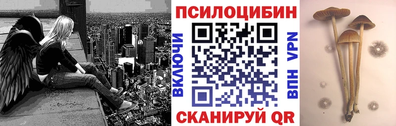 Галлюциногенные грибы Cubensis  Купить закладки  Дальнегорск 