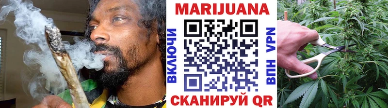 Купить закладки  Дальнегорск  Бошки марихуана сатива 